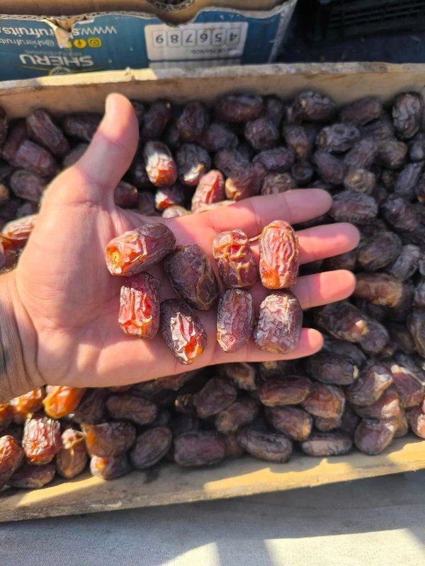 خرمای بریم لوکس آلوچه و آدامسی شادگان جعبه ای 5 کیلوگرم